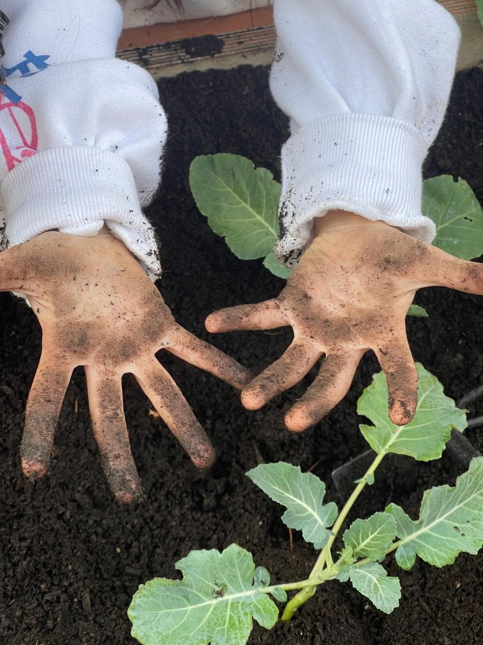 Experiential Environmental Events